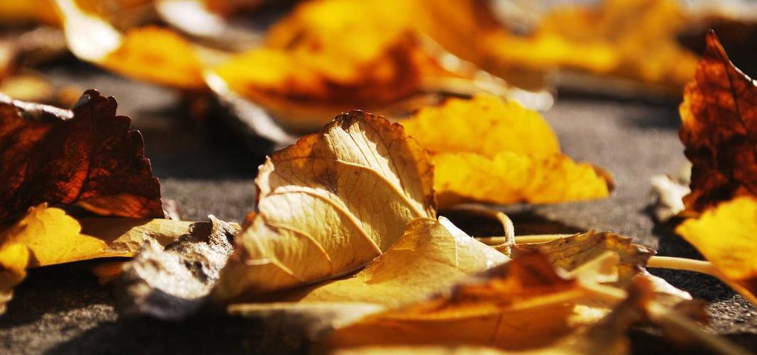 Itaque ex est possimus aut adipisci