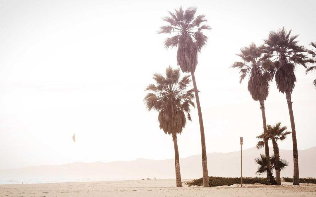 Nemo occaecati aut molestiae dolores