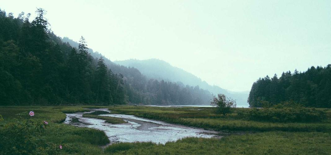 Quia autem quis veritatis