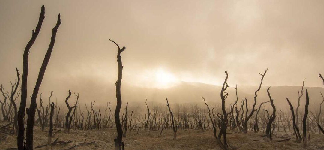 Molestiae ut harum repellendus ut perferendis corporis